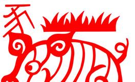 生肖猪的男人命运如何