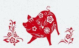 生肖猪女的属相婚配表大全