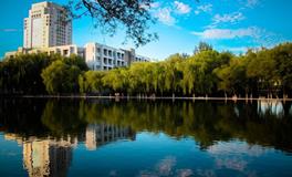 属猪人最倒霉的年龄