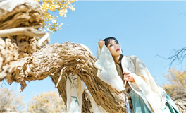 让人高攀不起的星座