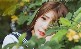 柒爸水瓶座2024年1月运势