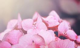 夏日发财！2022年7月【偏财运大好】星座大点名