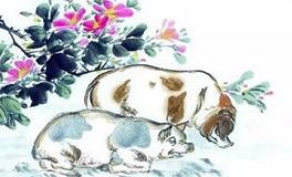 属猪人的事业贵人是谁