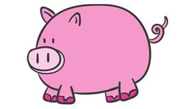 1971年属猪男人一生婚姻运势