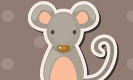 属鼠男人命好不好