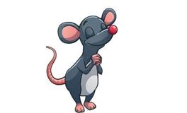 1960年属什么生肖