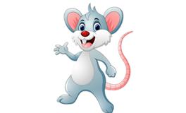 1984年是什么属相