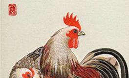 属鸡女人旺夫吗