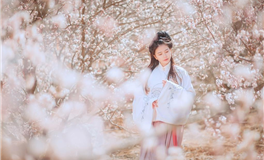 九紫离火运会有很多人开悟吗