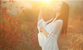 2024年，事业财富将迎来机遇的四个生肖