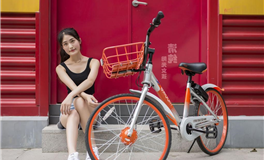 生肖狗2024甲辰年运势