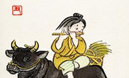 属牛的女人花心吗