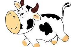 属牛的年份有哪些