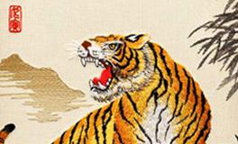 属虎的男人容易出轨吗