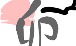 属兔人几月出生最好