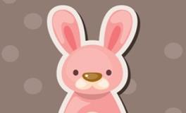 属兔男人对感情的态度怎样