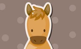 属马的最佳合作伙伴