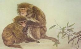 属猴的人和什么属相最配