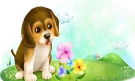 属狗女生的性格和脾气