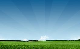 属猴人最倒霉的年龄