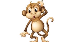 属猴男喜欢一个人的反应