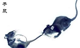 属鼠人的小人生肖是谁