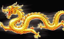 属龙的名人和明星