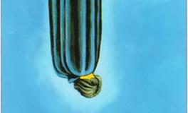 塔罗牌圣杯五逆位代表什么意思？