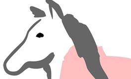 属马的人适合什么颜色，生肖马的幸运色