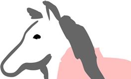 属马人爱你的表现