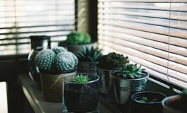 心理测试农历年前你的“心情和健康”