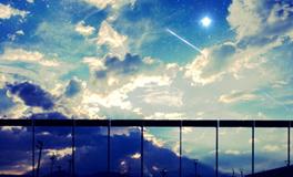 属牛和什么属相合财