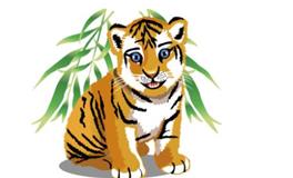 属虎女人和什么属相最配