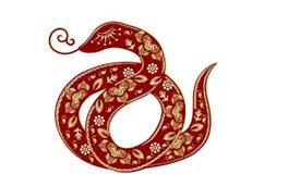 1965年属什么生肖