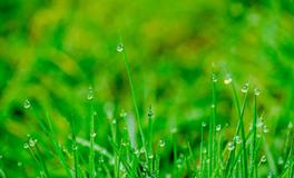 属蛇和什么属相合作生财