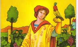 塔罗牌星币九正位代表什么意思？