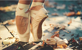 氧气占星天蝎座2024年运势