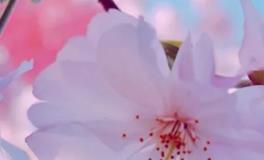 新年民俗，立春开运秘法