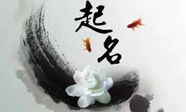 姓名是怎样影响人的命运的？