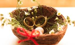 没想到啊！这些生肖CP最可能闪恋闪婚