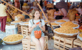 郑博士：每周生肖运势（2.19-2.25）