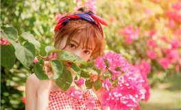 属狗的睡势什么样