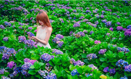 苏珊米勒每日运势2024年2月20日