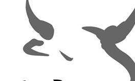 属牛的2024年多大了？属牛的今年多大了？