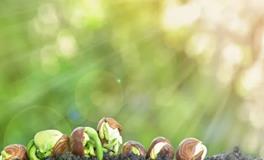 生辰八字里蕴藏着什么样的密码