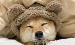 古人认为，睡觉也是一门大学问