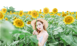 Alex大叔2024年3月星座运势