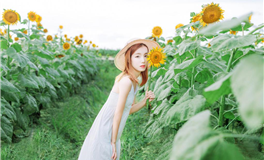 疗伤不用非去名胜古迹，巨蟹座的疗伤圣地