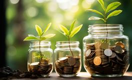 适合在家中摆放的绿植盆栽