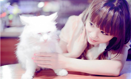 2024年属虎的人财运好不好